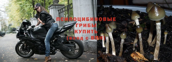 герыч Медногорск